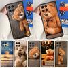 Милый Медведь Для Samsung Galaxy M14 M34 M54 M33 M13 M23 M53 M15 M55 M31 M51 M20 M30s M32 M52 Чехол Для Телефона