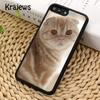Мягкий чехол для телефона Krajews Cute Kittens cat для iPhone 14 5 6s 7 8 plus X XR XS 11 12 13 pro max Samsung Galaxy S21 S22 ultra