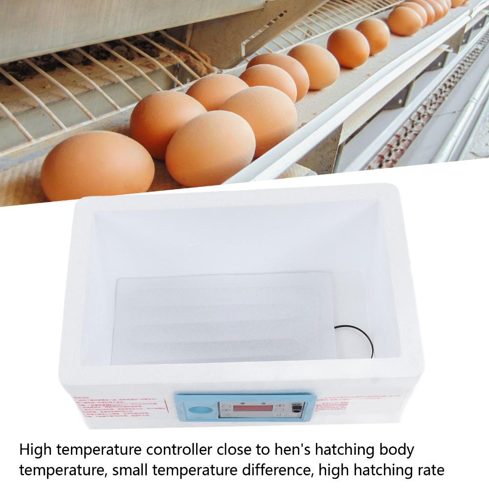 1 Set (7pcs) Small Chicken Incubator Foam Eggs Hatching Incubator Hatching Chicken