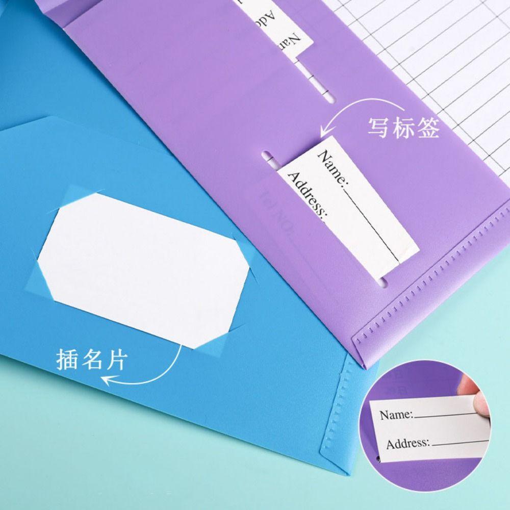 PP A4 File Folder Fashion Double Sided Pocket Folder Folding Folders Students