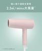 Limited Edition SALONIA Speedy Ion Hair Dryer Flow Misty Green [2026 Spring/Summer Color]