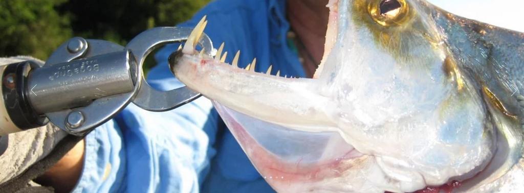 Boga Grip 315 15 фунтов весы