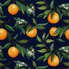Outdoor Dekostoffe Oxford - Motiv Obst | Dx6291