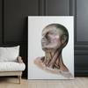 Neck Muscles - Anatomical Poster Neck Muscles - Anatomical Poster, 30X40 Cm, Black Aluminum Frame, 230 Gsm Matte Paper