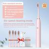 Electric Toothbrush Adult Rechargeable Automatic Sonic Water Washing Fine Soft Hair Waterproof Male and Female Students Couple Set