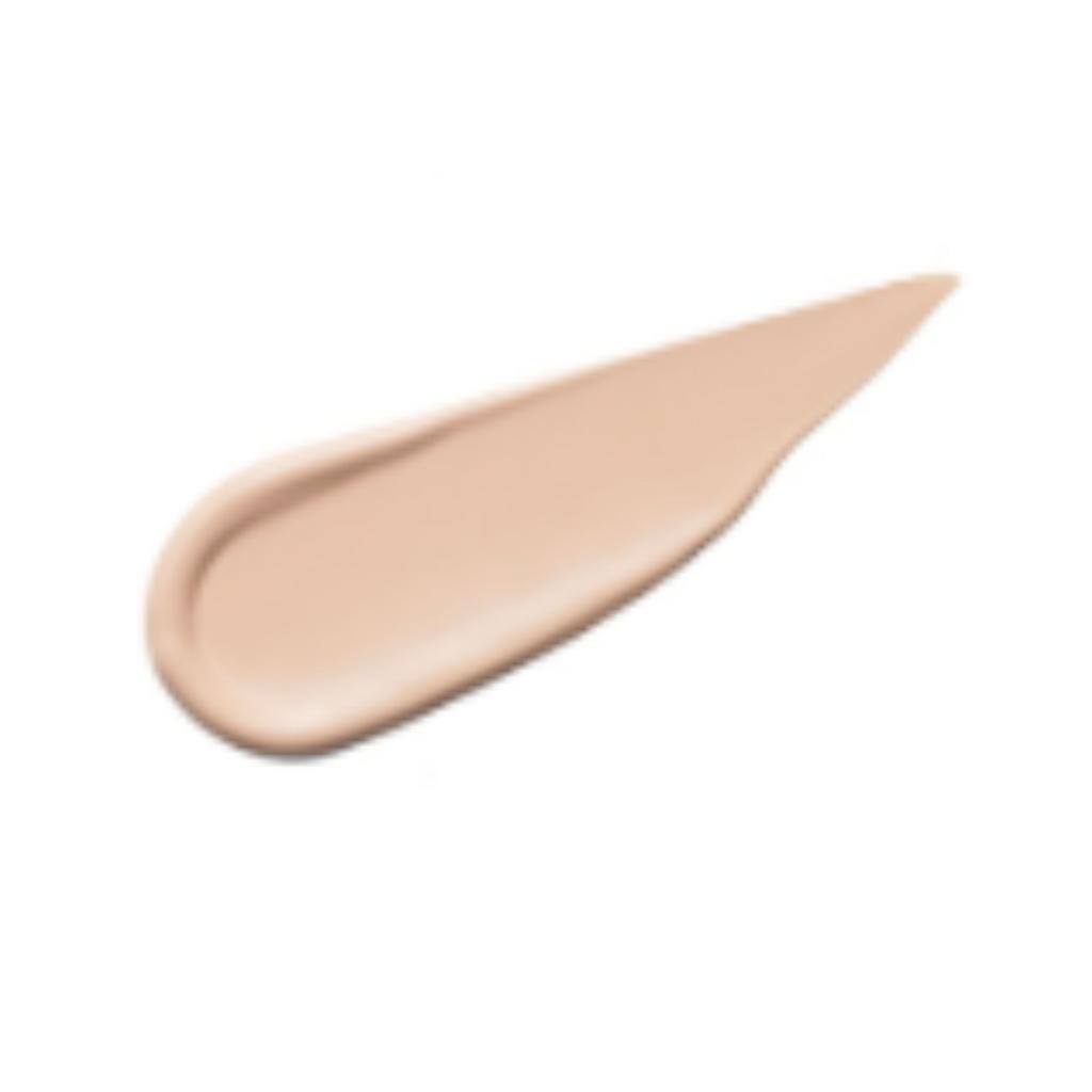 THE SAEM Cover Perfection Tip Concealer 9.5g (10 Shades)