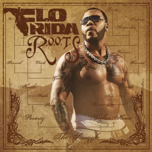 CD FLO RIDA R.O.O.T.S. WPCR13378 2009 Япония Танцевальная Электроника Б/У