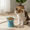 High Foot Dog Food Feeder Anti-Slip Base Cat Feeding Dish Cute Pet Drinking Bowl  Food Feeding