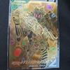 Использованный Ganbare Legends Kamen Rider Legend LR Параллельный