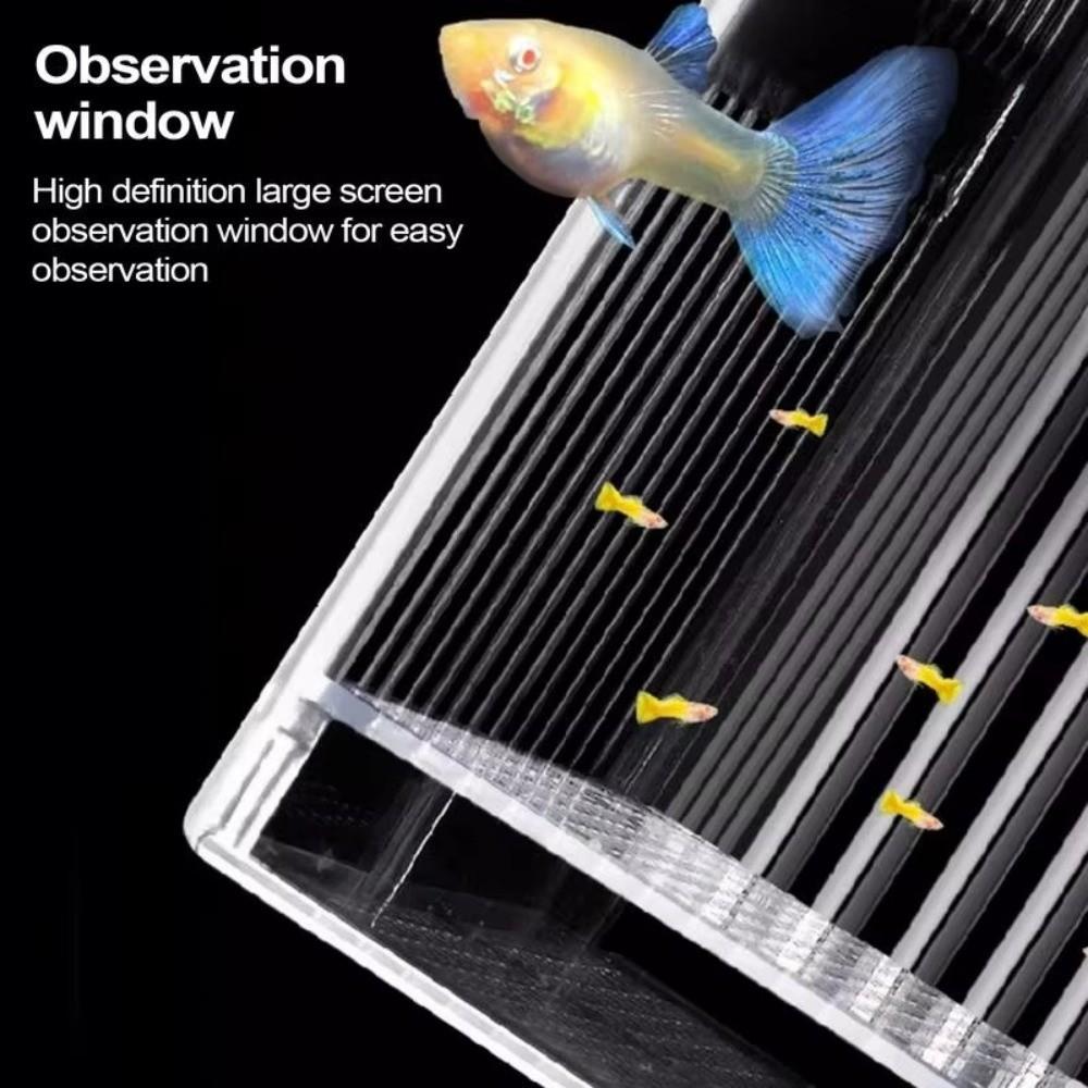 Detachable Guppy Breeder Box Transparent Fish Tank Divider Aquatic Life Hatchery  For Small Fish