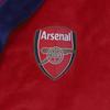 Arsenal FC Mens Crest Fleece Contrast Trim Dressing Gown
