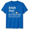 Irish Dad Definition Fathers Day Shamrock Ireland Flag Unisexs Unisexs T Shirt
