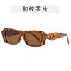 Vintage Style Sunglasses for Men Rectangle Shape UV Protection Outdoor Sun Glasses Hiking Travelling Women Sunglasses