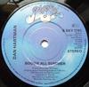 7inch Record DAN HARTMAN - Boogie All Summer SSKY7741 Blue Sky 1979 UK Soul/Funk Used