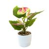 Multicolor Artificial Anthurium Bonsai Soft Rubber Real Touch Faux Red Palm Flowerpotted Photo Props Desktop Ornament