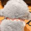Stuffed Animal Doll Plush Puppy Keychain Lovely Car Key Ring Backpack Ornament Bag Pendant  Trinket