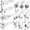 13 Sheets Black Dandelion Temporary Tattoos For Women Men Realistic Tattoos Sticker Fake Flying Birds Butterfly Flower Tatoos Paper Decoration