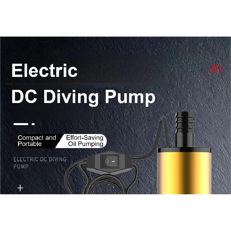 Diesel Fuel Transfer Pump 12V/24V Portable Self-Priming DC Pump with Clamps for Car Use Portable Diesel Transfer Pump High Flow