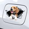 Cute Beagle In the Hole Creative Design Sticker, 1pc Funny Car Decal, Suitable for Cars, Trucks, Motorcycles, Walls