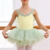 Chiffon Skirt Ballet Leotards Camisole Style Dance Costume Fashion Ballerina Tutu Dress  Practice