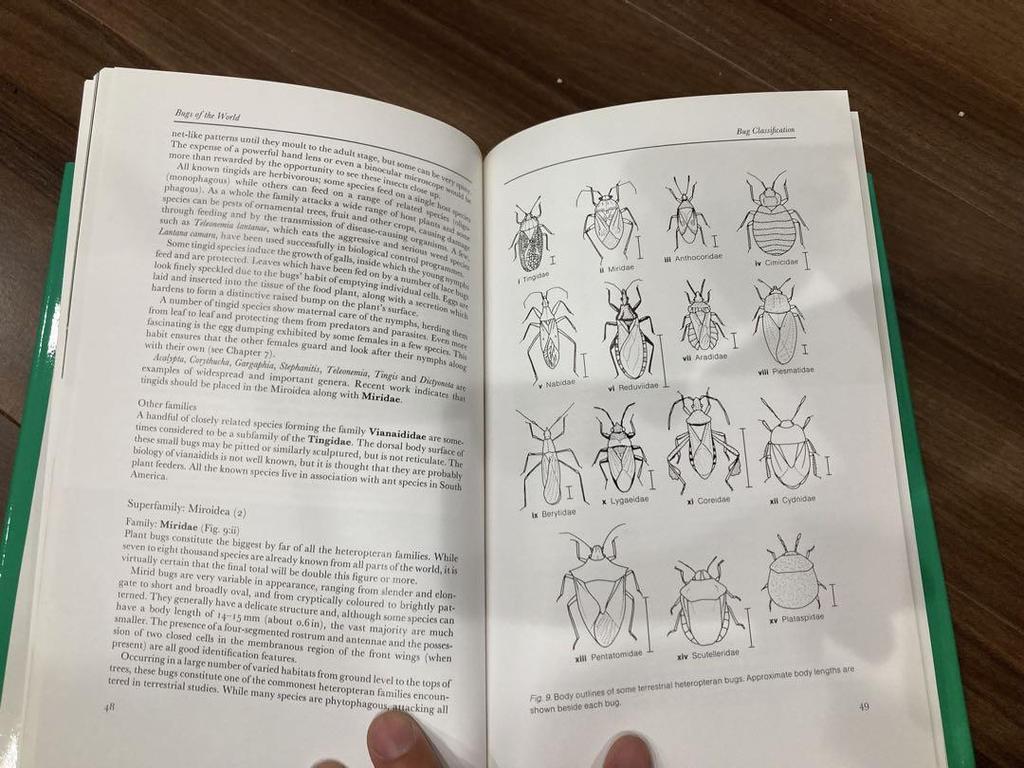 [ИСПОЛЬЗОВАН] Жуки мира Поиск образцов насекомых