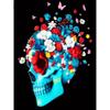Diamond Embroidery Full Display Diamond Painting Flower Skull Cross Stitch Diamond Mosaic Wall DecorRainbow
