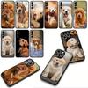 Phone Cover Animal Pet Golden Retriever Dog for Xiaomi Poco F7 F6 F8 Ultra F5 X7 X6 X5 X3 NFC M7 M6 Pro C85 C75 C65 C71 C61 Case