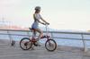 ONESPORT OT02 Electric BIke 36V 5.2Ah Battery, 250W Motor, Lightweight 14.5kg, 16" Urban Tires, V-Brakes, 25KM Range Foldable E-Bike
