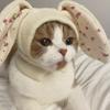 Милая Шляпа для Питомца с Ушками Кролика Мягкая Эластичная Цветочный Узор Ветрозащитный Чехол для Собаки Удобный Теплый Головной Убор для Питомца Вечеринка Костюм