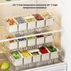 Ice Chilled Condiment Caddy with 5 Containers, Fruit Plate Server with  Lids, Serving Tray Platter with Removable Dishes