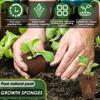 50 шт. губки для выращивания семян, сменные губки для роста корней, стартовые пробки для рассады, стартовый стручок для семян, гидропоника, садовые посадки