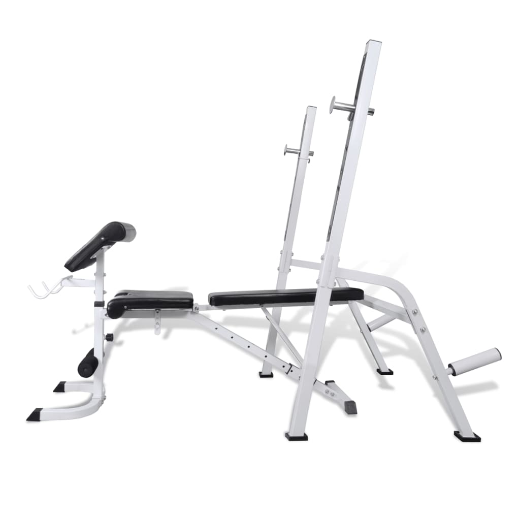 Multi Adjustable Weight Bench