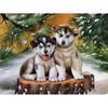 Diamond Mosaic Handmade Diamond Painting Two Huskys Cross Stitch Kits Diamond Embroidery
