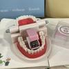 Denture Shape Tooth Stapler Portable Novelty Stapler Denture Shaped Stapler  Student Supplies
