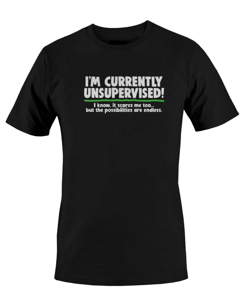 I'M CURRENTLY UNSUPERVISED Funny Graphic Print Mens T-Shirt S M L XL 2 3 4 XL