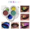 Fit Colors Optological Change Longan Shadow Powder Metal Texture Polarized Glitter Eye Shadow Sequins