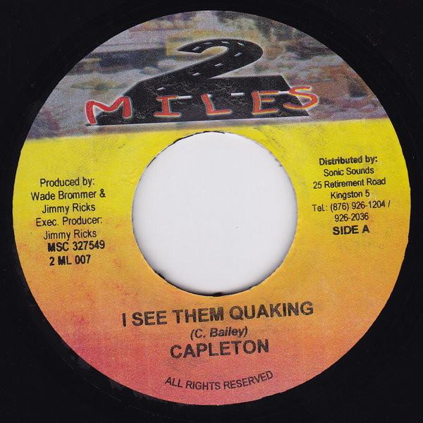 7-дюймовая пластинка CAPLETON I See Them Quaking 2ML007 2 Miles 2004 Ямайка Регги Ска Даб Б/у