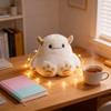 Мягкая игрушка, упакованная в цветную коробку с брелоком, для подарка