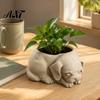 Wide Space Indoor Planter Cute Puppy Planter, 3D Printed Decorative Plant Pot, Unique Pot Dog Shaped for Succulents Home Office Decor Small Holder