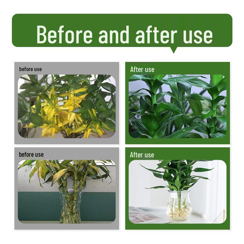 Hydroponic Lucky Bamboo Nutrient Solution for Anti-Yellowing Leaves & Enhanced Rooting