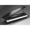 KORG MICROPIANO Micro Piano, 61 Mini Keys, Black, 61 Built-in Demo Songs, Auto-Play