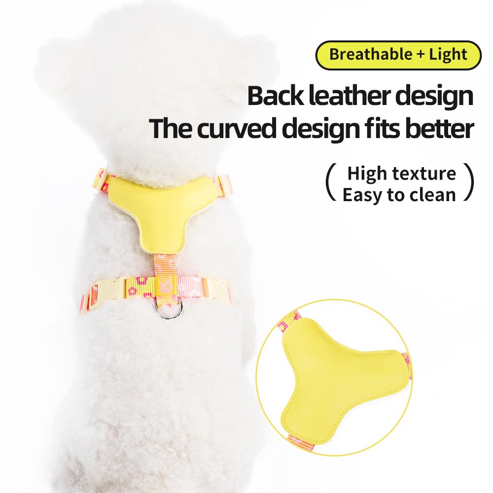Spring Mesh Leather Breathable Cat Small Dog Harness Vest and Leash
