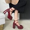 Chunky High Heels Pumps for Women 2025 Spring Buckle Strap Platform Mary Jane Shoes Woman Gothic Thick Heel Party Shoes