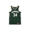NBA Antetokounmpo Bucks Icon Edition Джерси Hunter Green/Golden/White Мужская уличная одежда CW3672-329