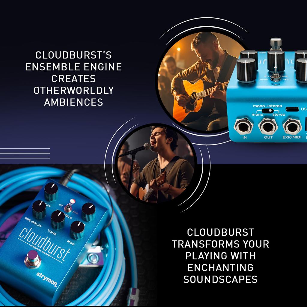 Strymon/Cloudburst Cloudburst Ревербератор Strymon