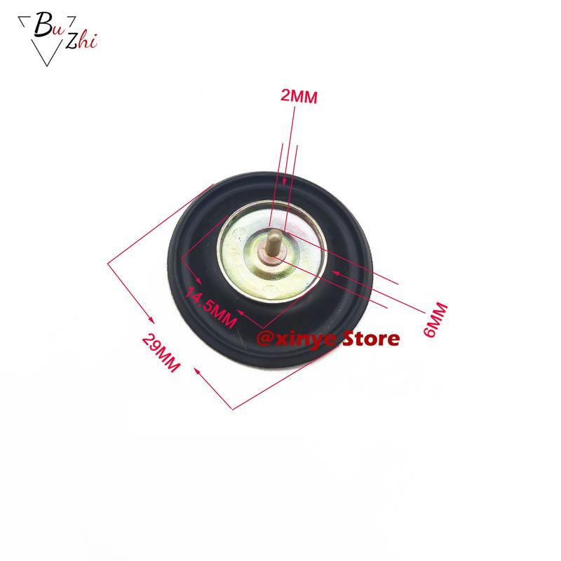 Carburetor Repair Kit Carb Piston Plunger Float Needle Rebuild Parts for CN250 CH250 Helix FUSION 250 Big ship22 CN 250 CH 250