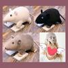Horror Black Rat Plush Toy For Kids And Adults Alike 20cm Soft And Cuddly Stuffed Doll