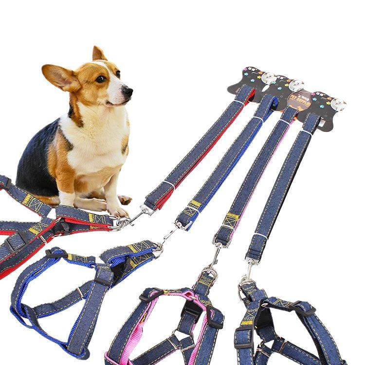 Multi-Size Dog Leash & Collar Set for Walking - Suitable for Small To Large Breeds
