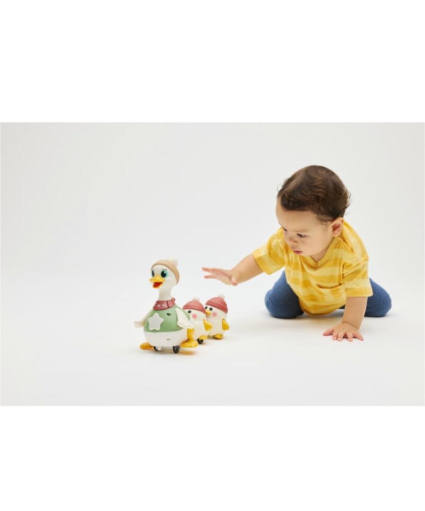 Hola Игрушки Ходячие! Семейство уток для малышей, от 6+ месяцев, TYHOLHE9987