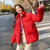 Women Autumn Winter Stand Collar Long Sleeve Big Pocket Zipper Loose All Match Chic Warm Parka